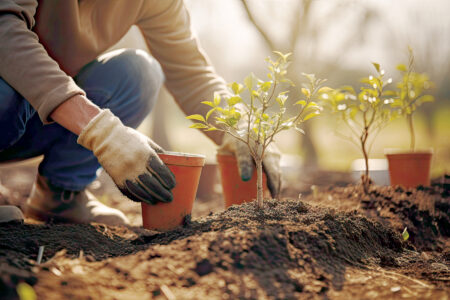 Protect Yourself from Gardening Safety Hazards Image